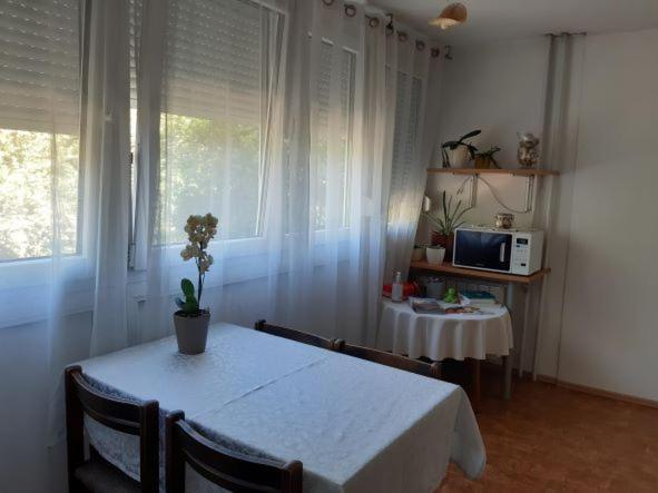 Homestay Rosalia Ljubljana Extérieur photo